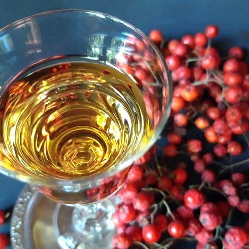 Старинный рецепт «Нежинской рябины» - Искусный винокур
