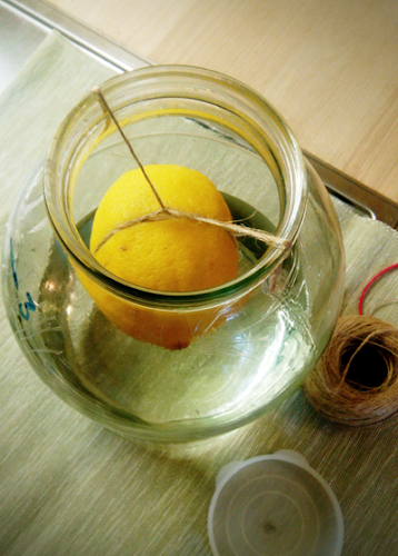 Лимонная настойка «Висельник» - Искусный винокур